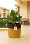 Jute Wicker Multi-Purpose Decorative Organizer Flower Pot Basket Garden Organizer Basket Width 22 Length 22