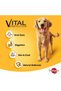 Chicken Loaf Wet Dog Food Can 400 g Complete Nutrition for Growing Puppies - 3