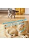 Automatic LED Cat Collar Toy, Wearable Electric Smart Kitten Toy with Auto On/Off - 6