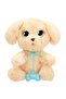 Sound Baby Paws Labrador Plush Baw09000