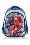 Premium Licensed School Bag Set + Nutrition + Metal Water Bottle + Pen Case + Food Container + Snap File - 3