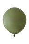Mold Green Pastel Balloon Decoration Set of 25 Birthday - 2