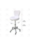 Beauty Salon Adjustable Stool White - 5