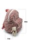 Washable Cute Comfortable Convenient Suitable for Kindergarten School Children's Backpacks Ft1001 - 2