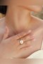 Polar Star Steel Necklace Tarnish Free Gold Zircon Stone Steel Necklace - 2