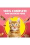 Purina Junior Chicken In Gravy Wet Cat Food Pouch Tasty Meal for Growing Kittens, - 4