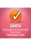 Purina Gravy Wet Cat Food Extra Gravy Chunky With Salmon In Savory Gravy - 2