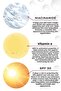 Skin Perfector BB Face Cream - SPF 30, Perfecting, Tone Equalizing Concealer, Sun Protection 50ml - 4