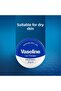 Lip Therapy Softening Lip Cream Original 20 G X2 Pieces - 5