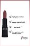 Mattemoist Lipstick Matte Finish Lipstick 303 Miss Kiss - Dark Nude - 2