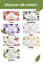 Natural Elegance Gardenia Olive Oil Solid Soap with Olive Oil Hand Soap Moisture Balancing 250 gr - 4