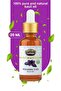 20 Ml Basil Oil