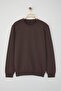 Brown Regular/Normal Cut Inside Fleece/Warm Sweatshirt Tmnaw21Sw1208 - 3