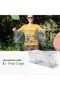 Large Two-Door Cat Trap Cage for Stray Cats, Raccoons & Groundhogs - 6