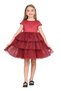 Girl's Ruffled Tulle Satin Wedding Henna Engagement Wedding Birthday Special Occasion Evening Dress Bridal Gown 4-8 Years Old