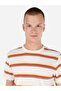 Regular Fit Crew Neck Stripe Print White Men's Short Sleeve T-Shirt - 4