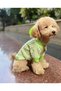 Pistachio Green Dog Sweater Dog Clothing