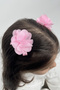 Pink 2-Piece Tulle Flower Girl's Clip Buckle Set