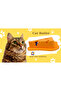 Gissa Fun Cat Playhouse - Cheese Slice Design, Developer Brain Teaser Game - 2