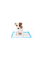 Pet Pad (P-PAD) - Dog Training Medium - 30pcs - 30x45cm - 2