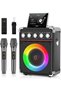 Karaoke Machine With 2 Microphones: Portable for Adults Kids, Bluetooth Speaker With Bass/Treble