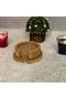 Wooden 6-Piece Coasters Decorative Raw Paintable Hobby Painting - 3
