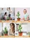Plush Interactive Toy Figures - Dancing Cactus - 8