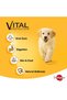 Puppy with Poultry and Rice Wet Dog Food Can 400 g Complete Nutrition for Growing Puppies - 3
