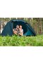 Alpine Dome 4 Tent - 5