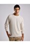 Textured Sweater with Crew Neck and Long Sleeves
