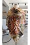 TWIL SILK SCARF