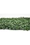 FFD Artificial Wall Grass Panels Artificial Green Landscaping Square Lawn Eucalyptus Pack of 10 - 7