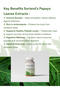 Sorland’s Papaya Leaf Extracts- Helps Immunity, Digestion & Healthy Platelets -120 veg capsules - 4