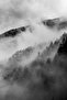 Black&White Misty Forest Model | Framed Tempered Glass Table Single Vertical - 2
