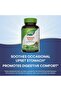 Ginger Root, 1100 mg, 100 Capsules - 7