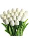 Buchet 20 lalele, SINBINTA, Alb - 2