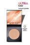 Ultra Color Compact Powder 31N