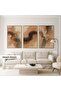 Metal Framed Real Glass Desert Dream 3 Piece Painting