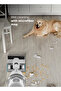 Cordless Electric Vacuum Cleaner Handstick Duo Pro WIFI IQ Home - 7