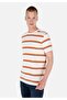 Regular Fit Crew Neck Stripe Print White Men's Short Sleeve T-Shirt