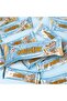 Protein Bars Chocolate Chip Cookie Dough (12 X 60 Gm)-Display Box - 7