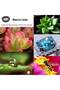 Apexel APL-DG 10 10 in 1 Cellphone Lens Kit - 5