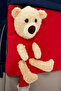 Unisex Children's Primary School Bag Set with Plush Teddy Bear Detail - 5