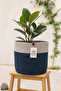 Jute-Wicker Multi-Purpose-Decorative-Organizer Flower Pot Basket, Garden Organizer Basket (Width:25-Height:20 cm) - 2