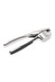 Small Garlic Press