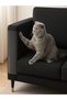 Cat Furniture Anti-Scratching Foil 45 cm X 15 Meters - 2