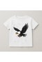 Eagle Crew Neck 100% Cotton Printed Short Sleeve Children's and Teenage T-Shirt