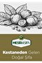KESTANE PEKMEZİ - 2