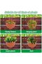 2 Set Wall Hanging Planters, Garden Fence Hanging Flower Pots Mounted Hanging Basket Plastic Plant P - 4