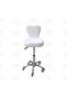 Beauty Salon Adjustable Stool White - 2